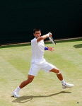 Novak Djokovic - The best tennis players ever